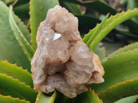 Natural Smokey Phantom Quartz Clusters x 2 From Luena, Congo - Toprock Gemstones and Minerals 