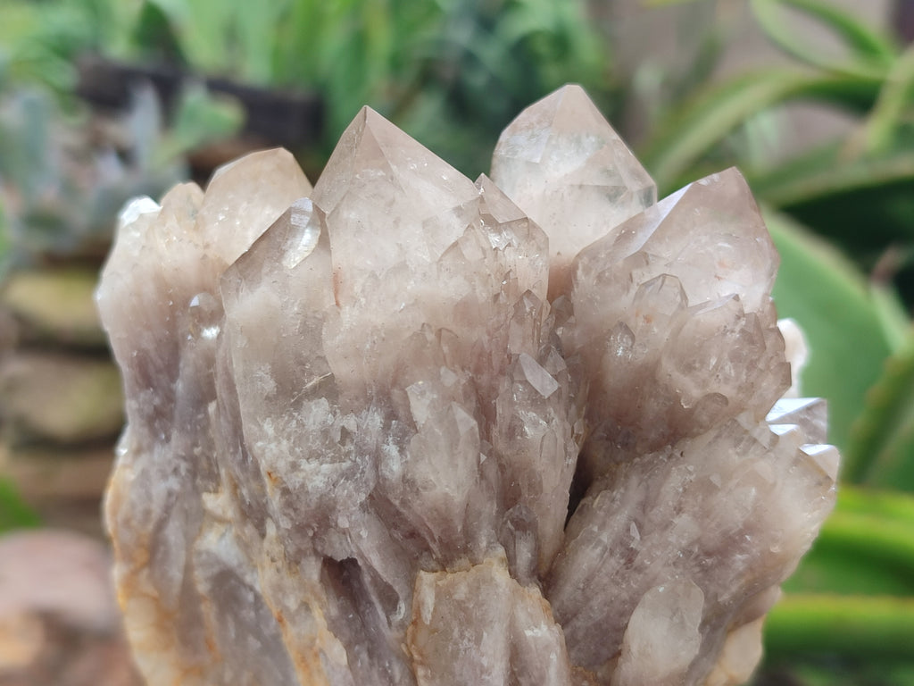 Natural Smokey Phantom Quartz Clusters x 2 From Luena, Congo - Toprock Gemstones and Minerals 