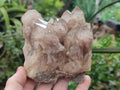 Natural Smokey Phantom Quartz Clusters x 2 From Luena, Congo - Toprock Gemstones and Minerals 