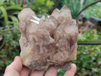 Natural Smokey Phantom Quartz Clusters x 2 From Luena, Congo - Toprock Gemstones and Minerals 