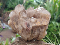 Natural Smokey Phantom Quartz Clusters x 2 From Luena, Congo - Toprock Gemstones and Minerals 
