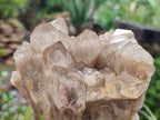 Natural Smokey Phantom Quartz Clusters x 2 From Luena, Congo - Toprock Gemstones and Minerals 