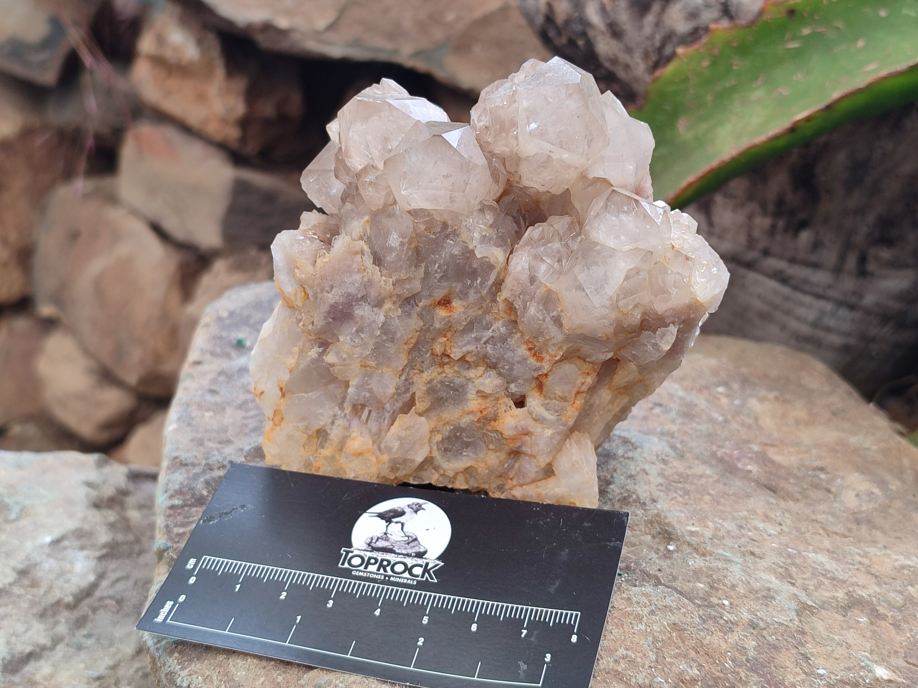 Natural Smokey Phantom Quartz Clusters x 2 From Luena, Congo - Toprock Gemstones and Minerals 