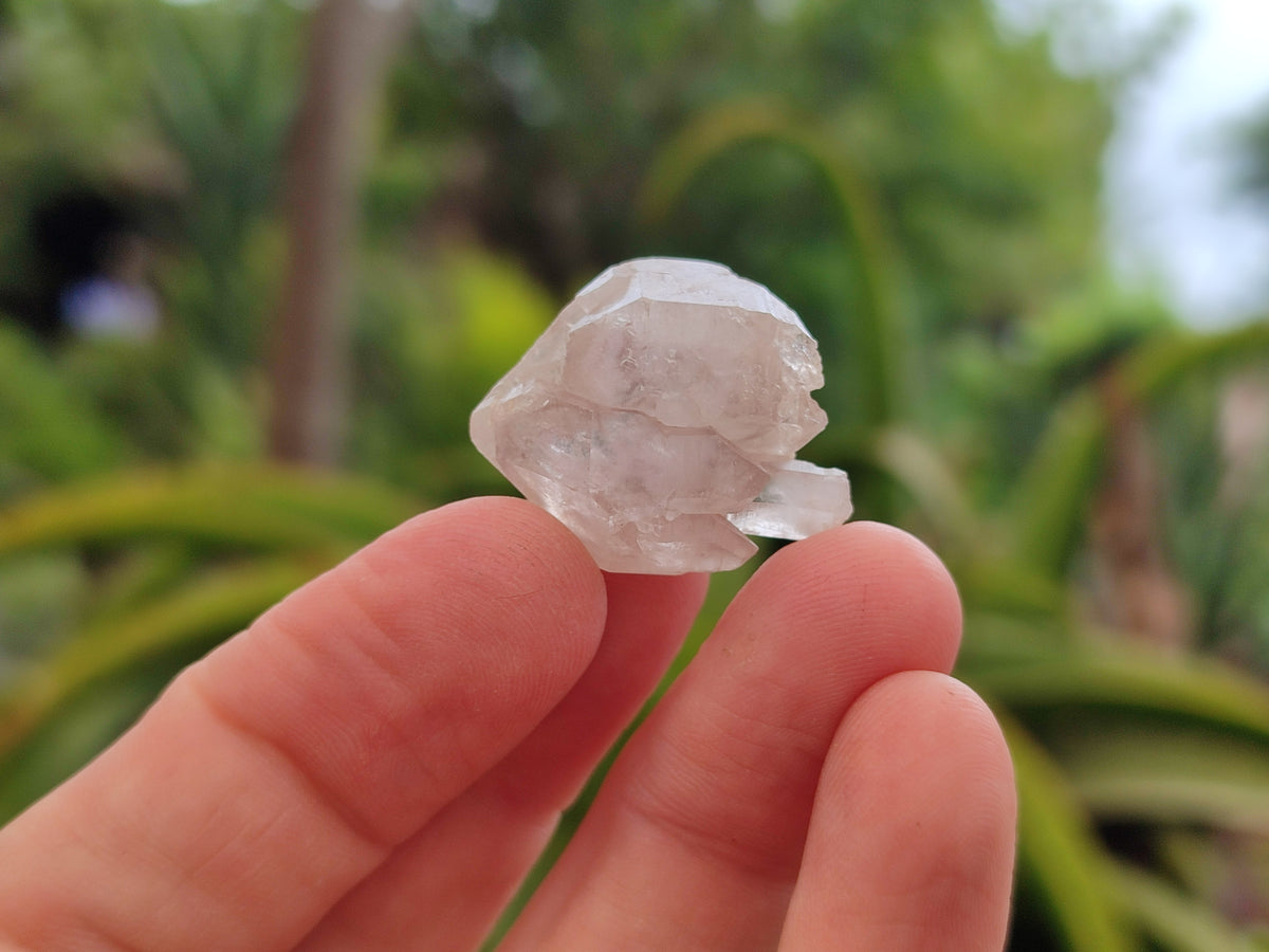 Natural Zululand Amethyst Crystals x 1.6 Kg Lot From South Africa - Toprock Gemstones and Minerals 