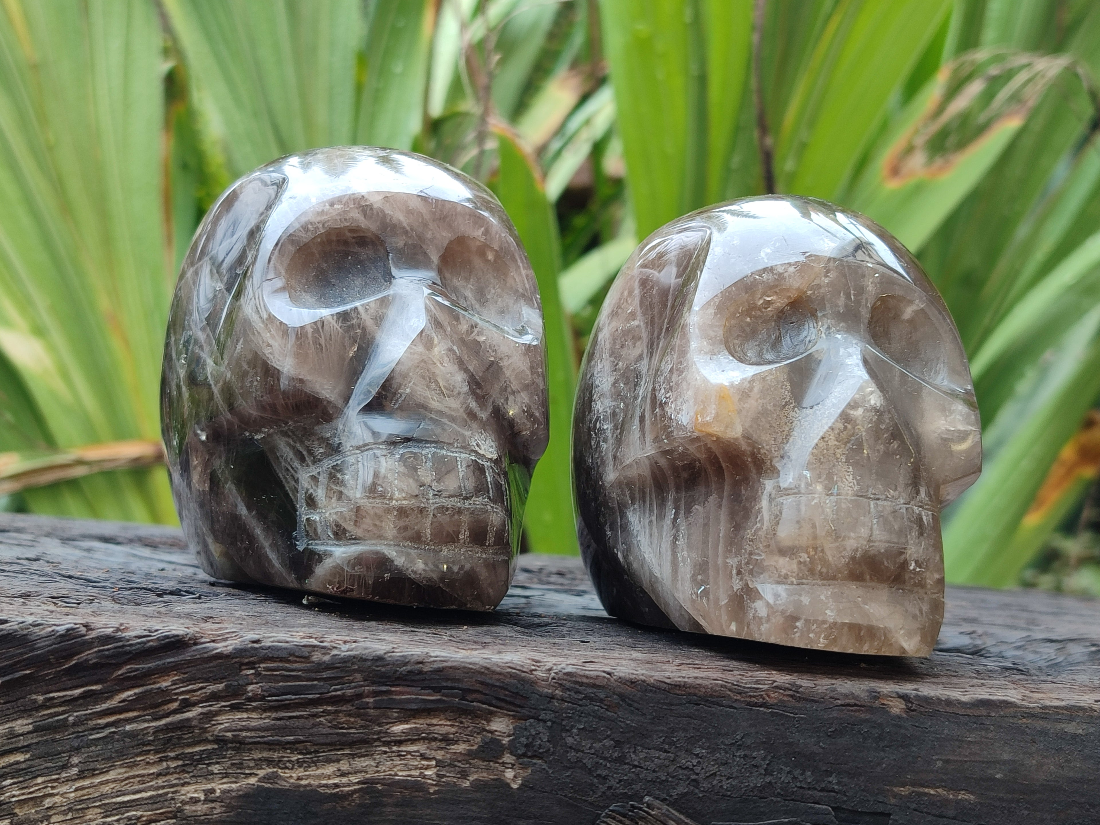Polished Smokey Quartz Skulls x 2 From Madagascar - Toprock Gemstones and Minerals 