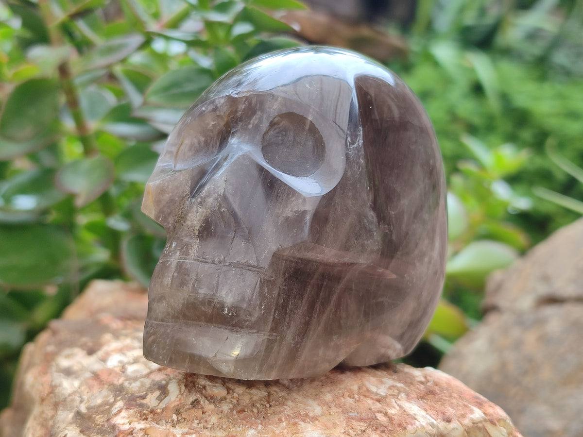 Polished Smokey Quartz Skulls x 2 From Madagascar - Toprock Gemstones and Minerals 