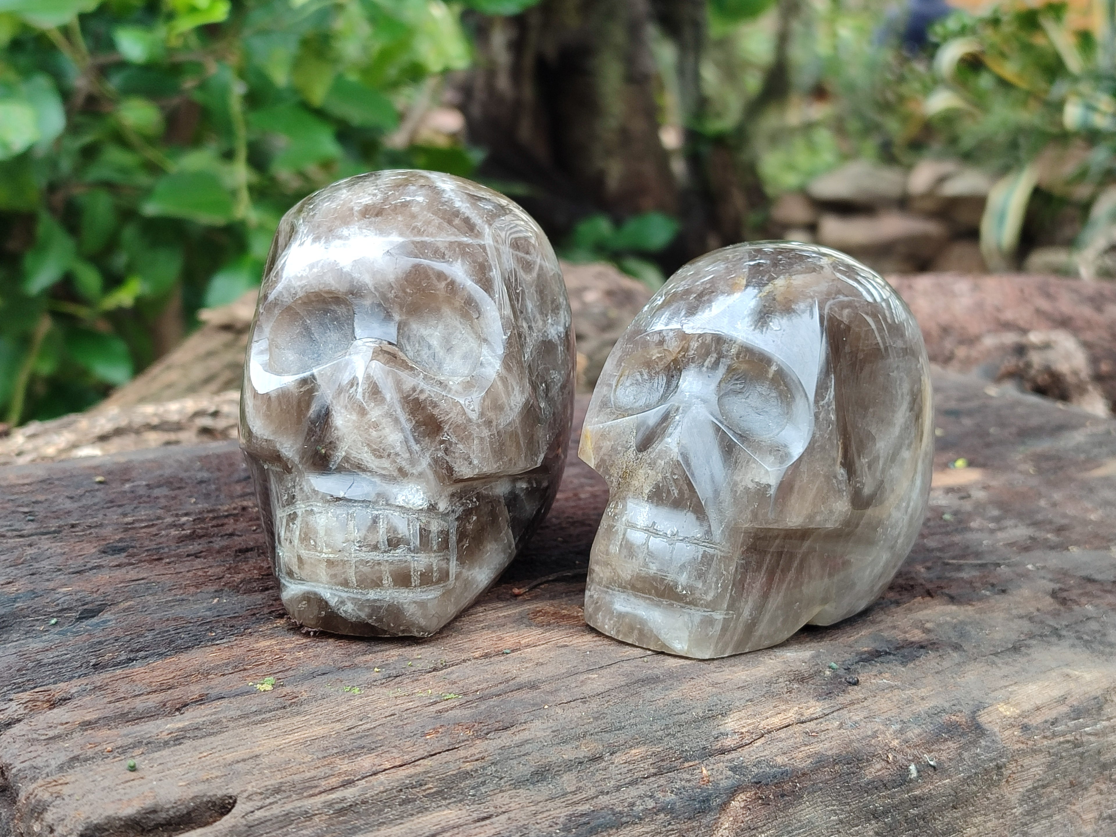 Polished Smokey Quartz Skulls x 2 From Madagascar - Toprock Gemstones and Minerals 