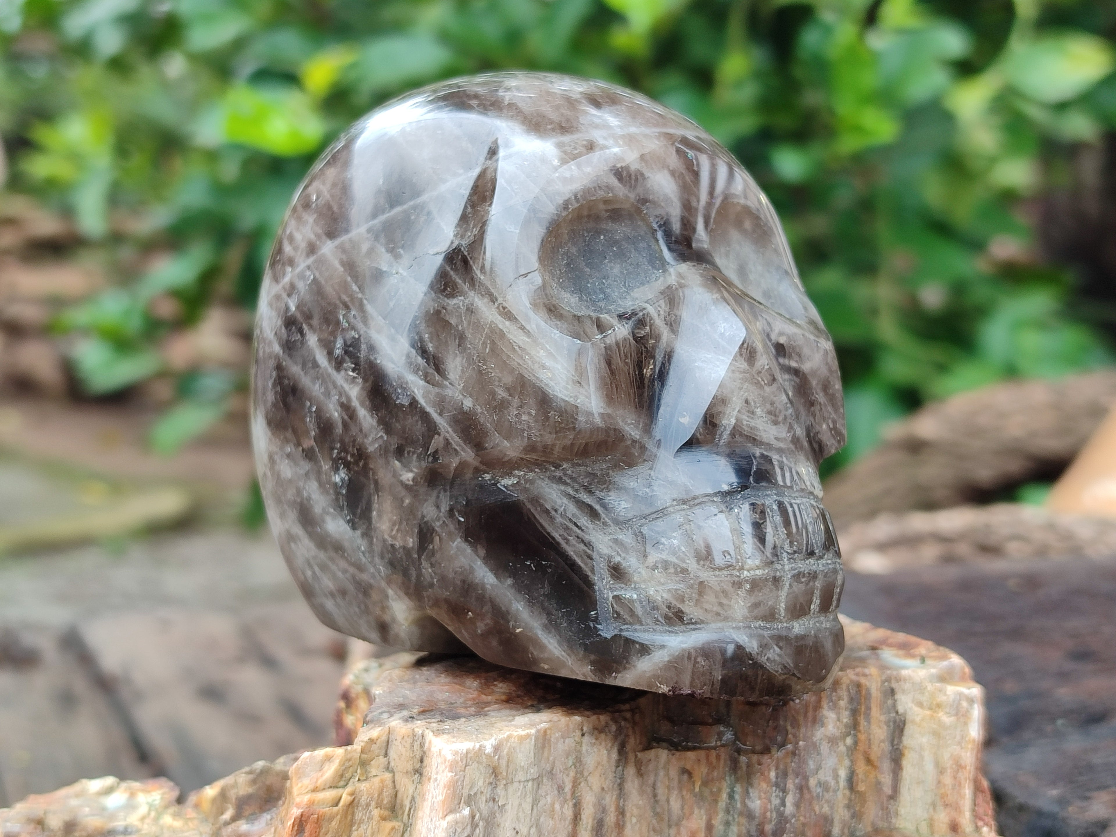 Polished Smokey Quartz Skulls x 2 From Madagascar - Toprock Gemstones and Minerals 