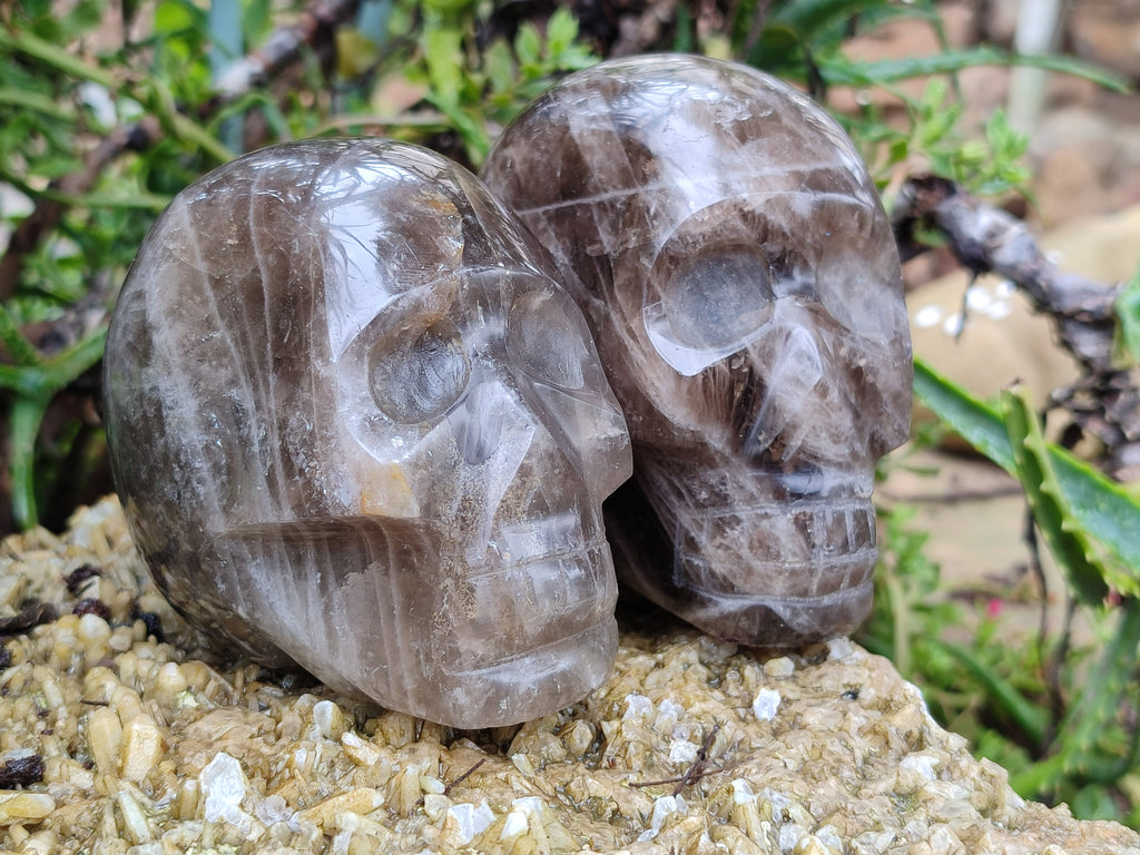 Polished Smokey Quartz Skulls x 2 From Madagascar - Toprock Gemstones and Minerals 