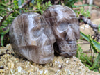 Polished Smokey Quartz Skulls x 2 From Madagascar - Toprock Gemstones and Minerals 