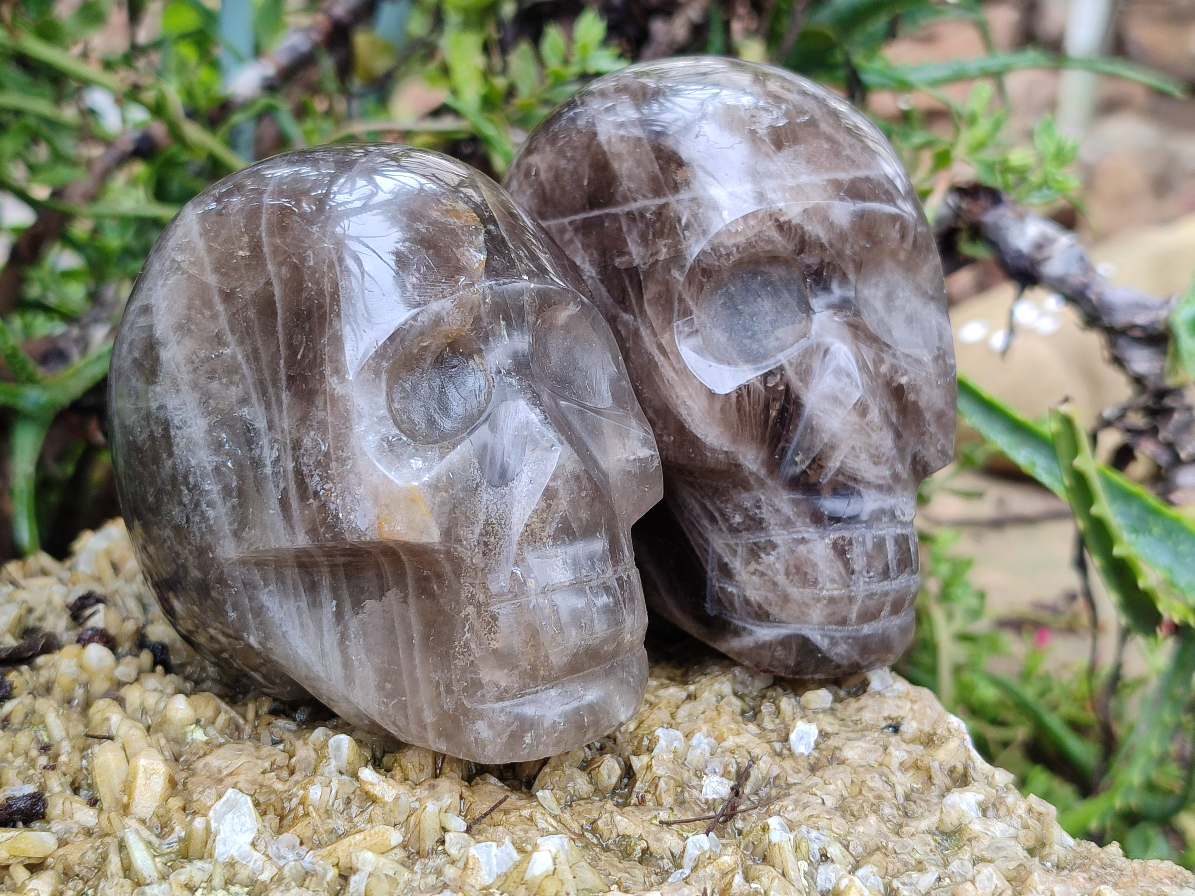 Polished Smokey Quartz Skulls x 2 From Madagascar - Toprock Gemstones and Minerals 