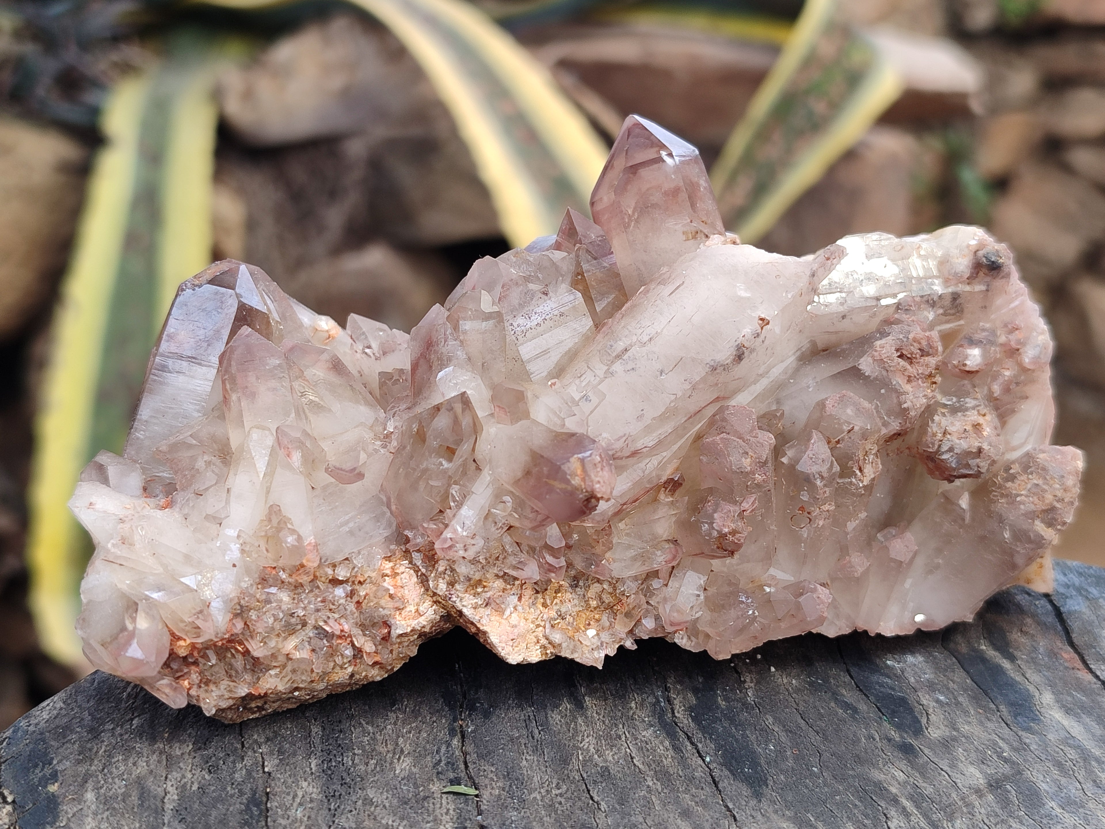 Natural Red Hematoid Quartz Clusters x 3 From Karoi, Zimbabwe - Toprock Gemstones and Minerals 