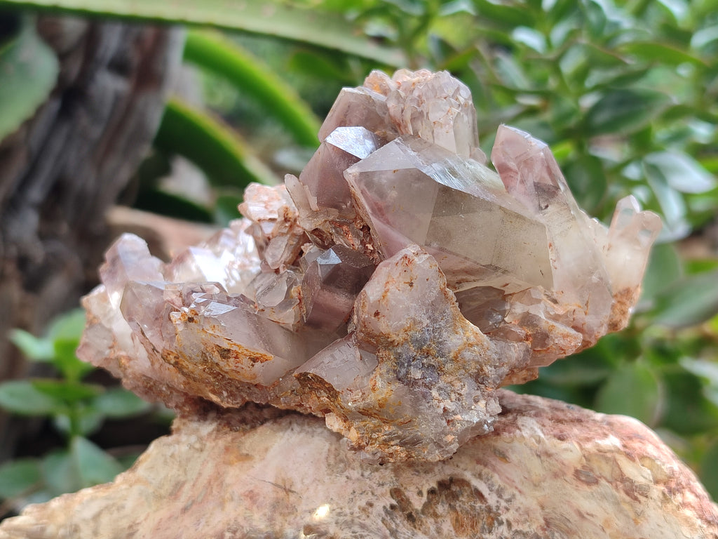 Natural Red Hematoid Quartz Clusters x 3 From Karoi, Zimbabwe - Toprock Gemstones and Minerals 