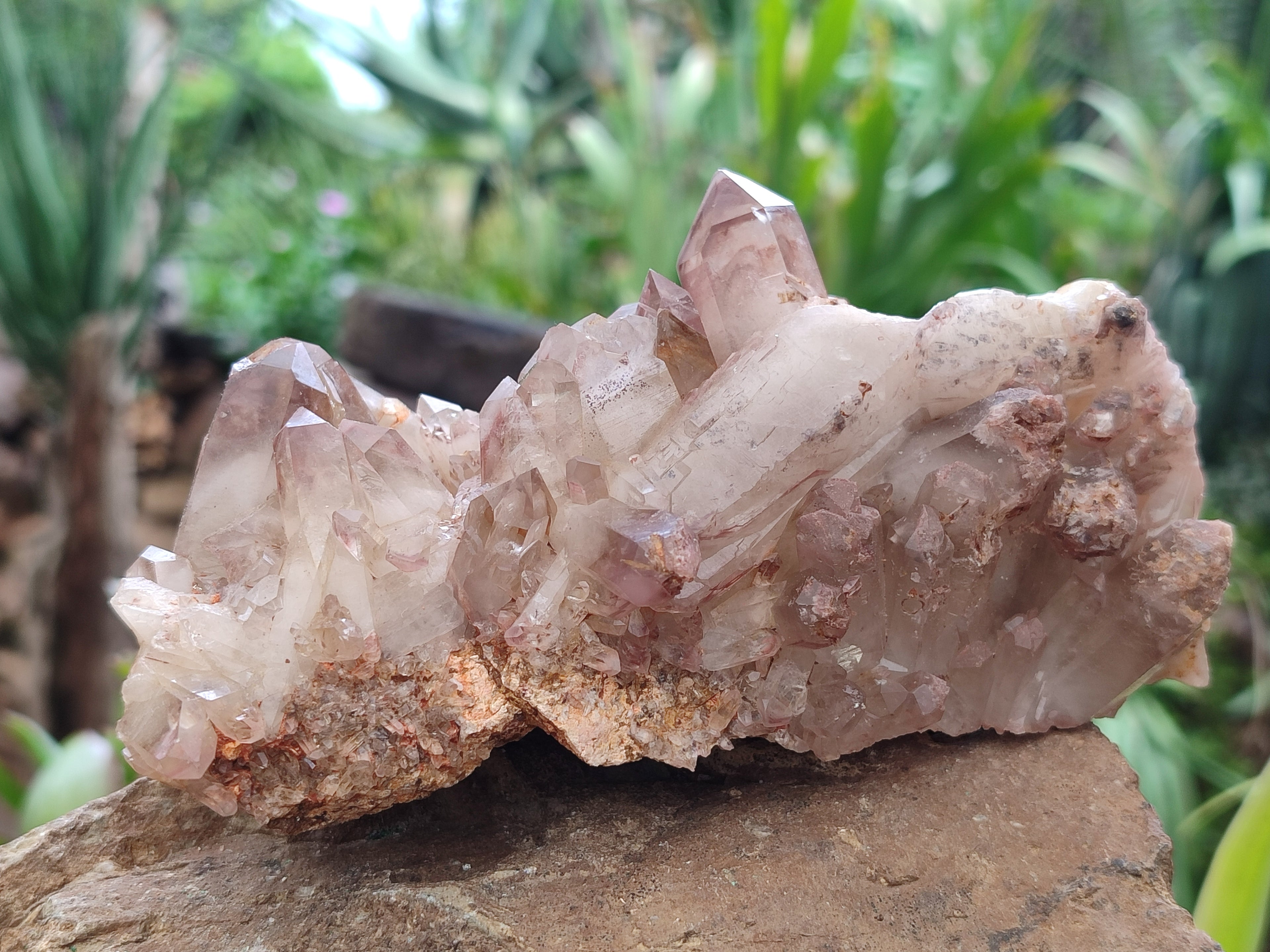 Natural Red Hematoid Quartz Clusters x 3 From Karoi, Zimbabwe - Toprock Gemstones and Minerals 