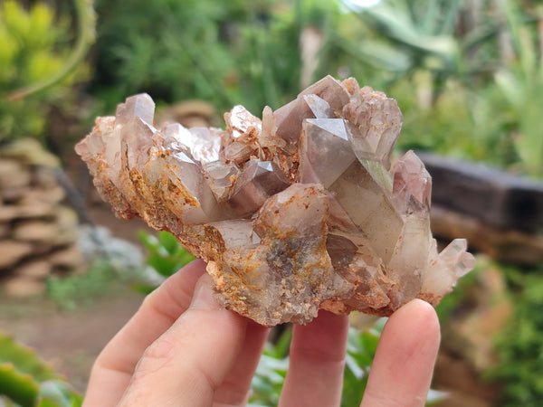 Natural Red Hematoid Quartz Clusters x 3 From Karoi, Zimbabwe