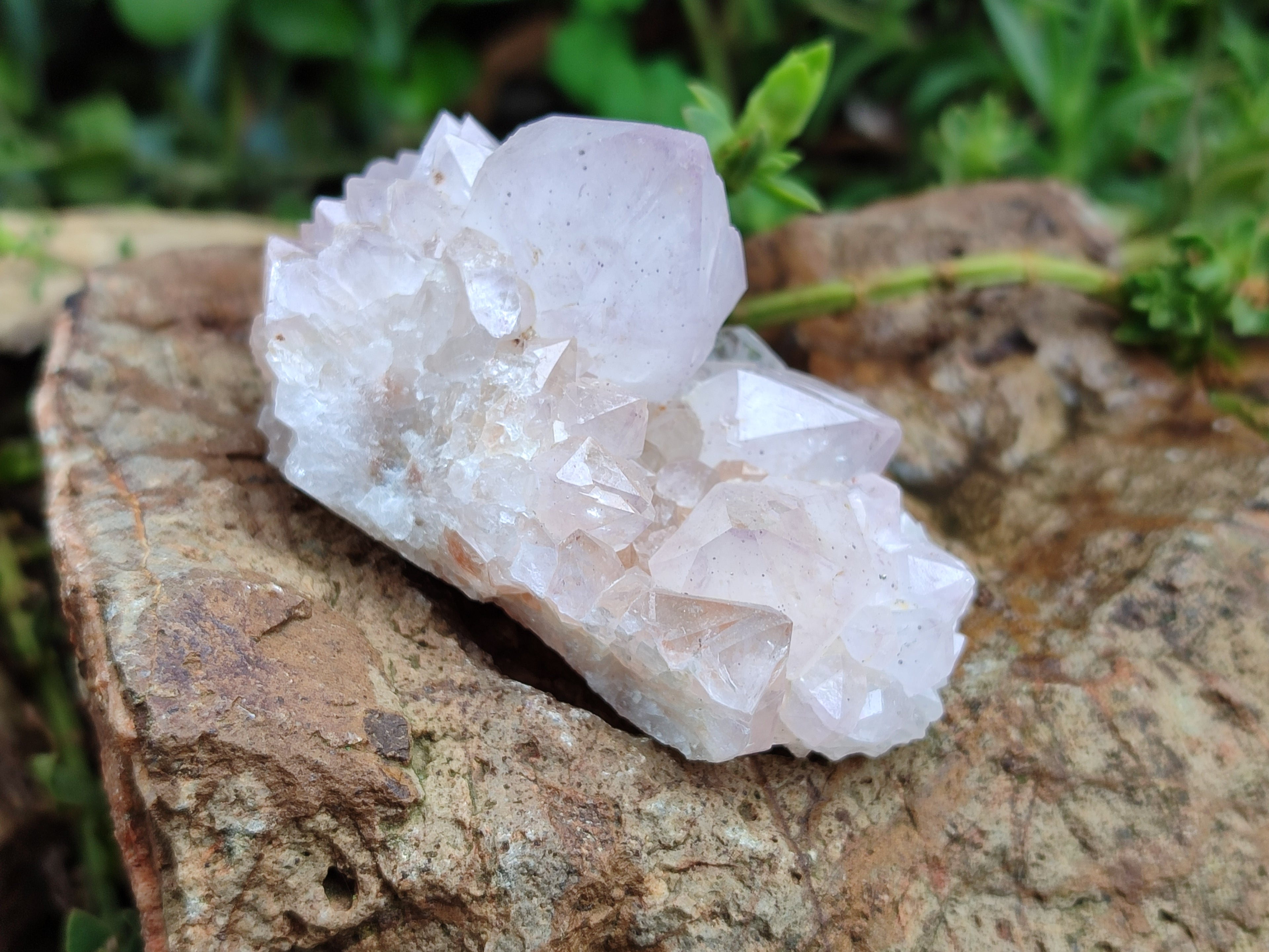 Natural Amethyst Spirit Quartz Clusters x 13 From Boekenhouthoek, South Africa - Toprock Gemstones and Minerals 