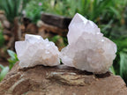 Natural Amethyst Spirit Quartz Clusters x 13 From Boekenhouthoek, South Africa - Toprock Gemstones and Minerals 