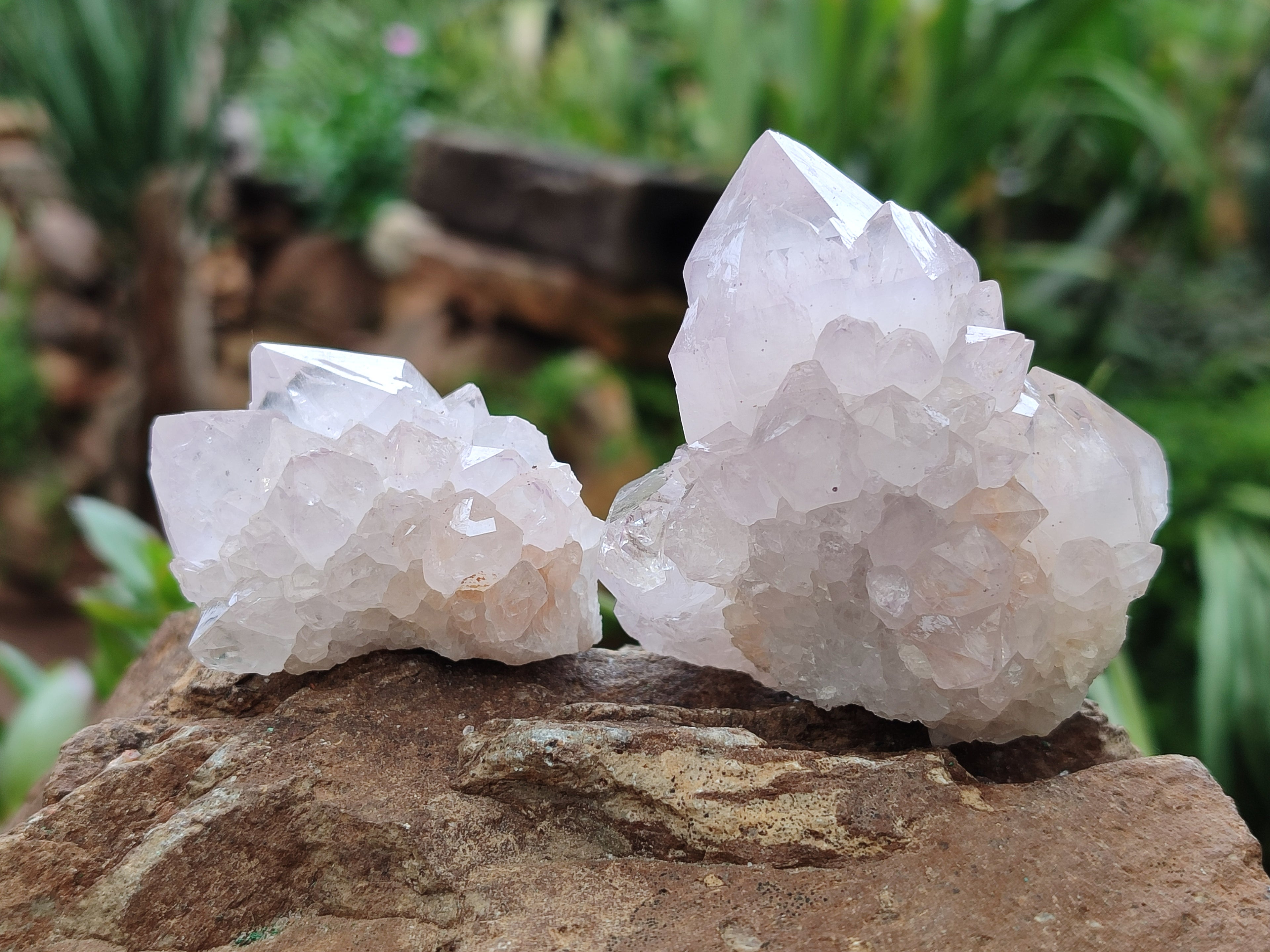 Natural Amethyst Spirit Quartz Clusters x 13 From Boekenhouthoek, South Africa - Toprock Gemstones and Minerals 