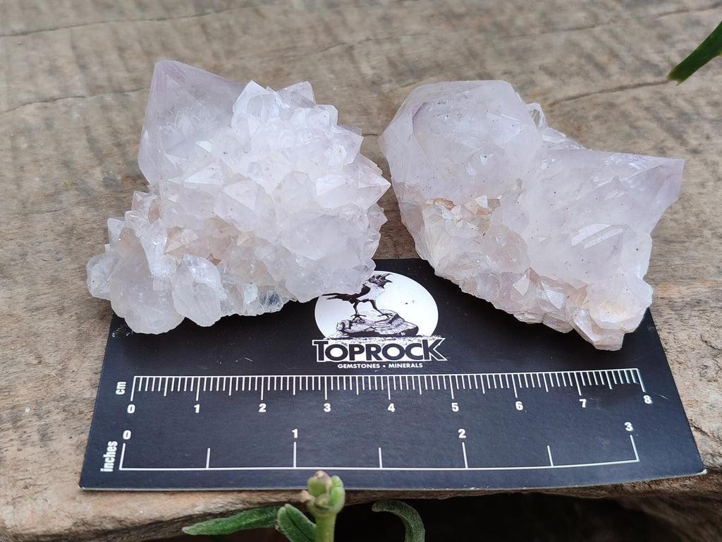 Natural Amethyst Spirit Quartz Clusters x 13 From Boekenhouthoek, South Africa - Toprock Gemstones and Minerals 