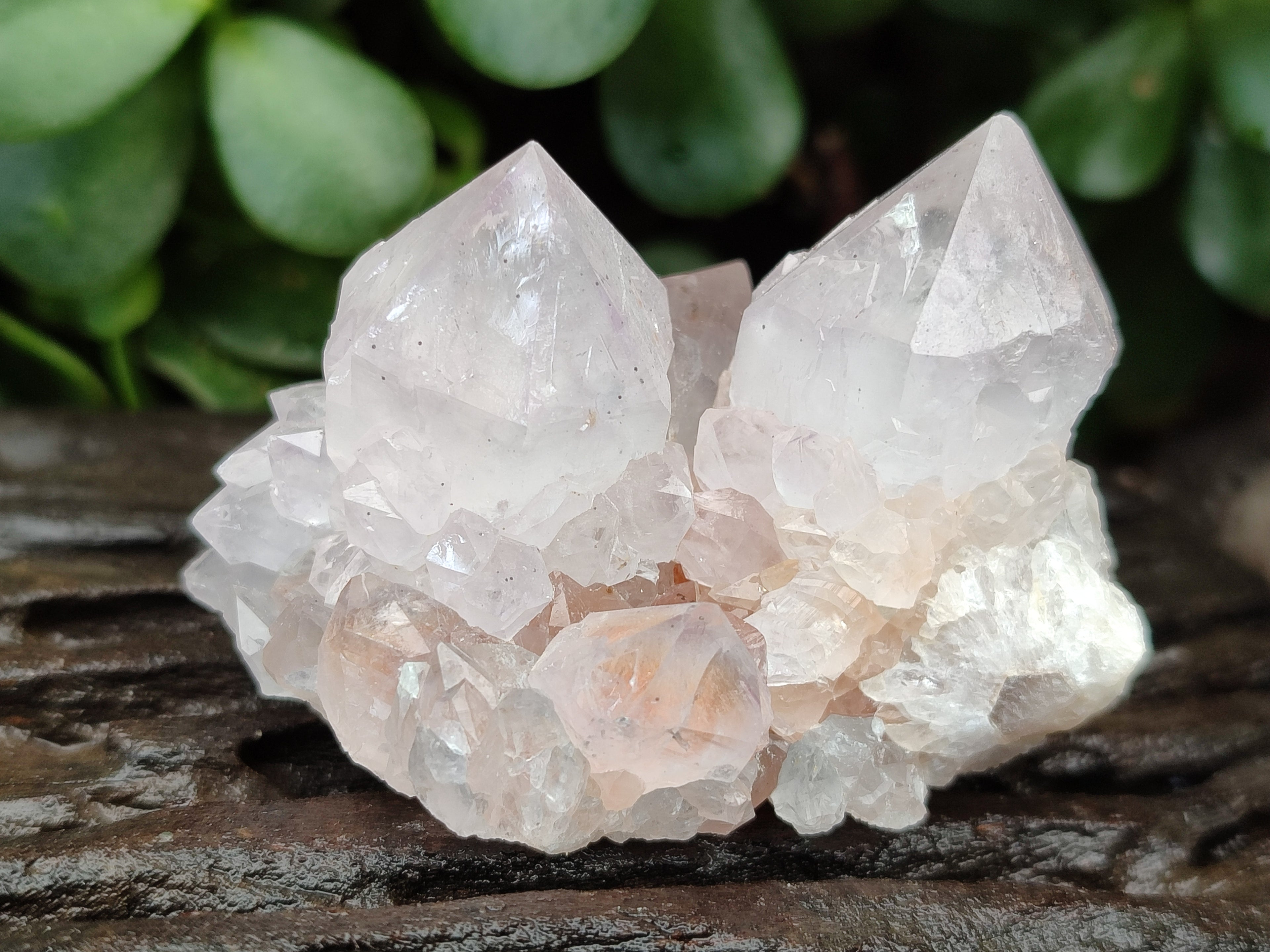 Natural Amethyst Spirit Quartz Clusters x 13 From Boekenhouthoek, South Africa - Toprock Gemstones and Minerals 