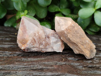 Natural Pineapple Candle Quartz Crystals x 35 From Antsirabe, Madagascar - Toprock Gemstones and Minerals 