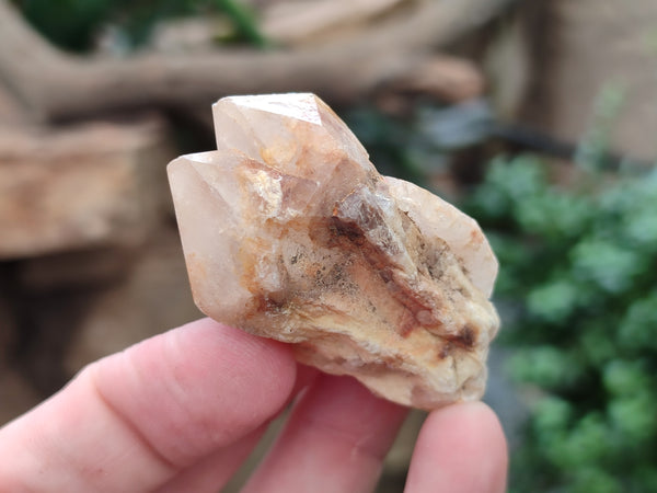 Natural Pineapple Candle Quartz Crystals x 35 From Antsirabe, Madagascar - Toprock Gemstones and Minerals 