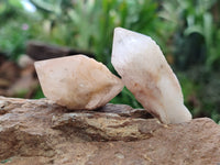 Natural Pineapple Candle Quartz Crystals x 35 From Antsirabe, Madagascar - Toprock Gemstones and Minerals 