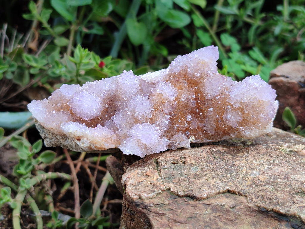 Natural Amethyst Spirit Quartz Clusters x 6 From Boekenhouthoek, South Africa - Toprock Gemstones and Minerals 