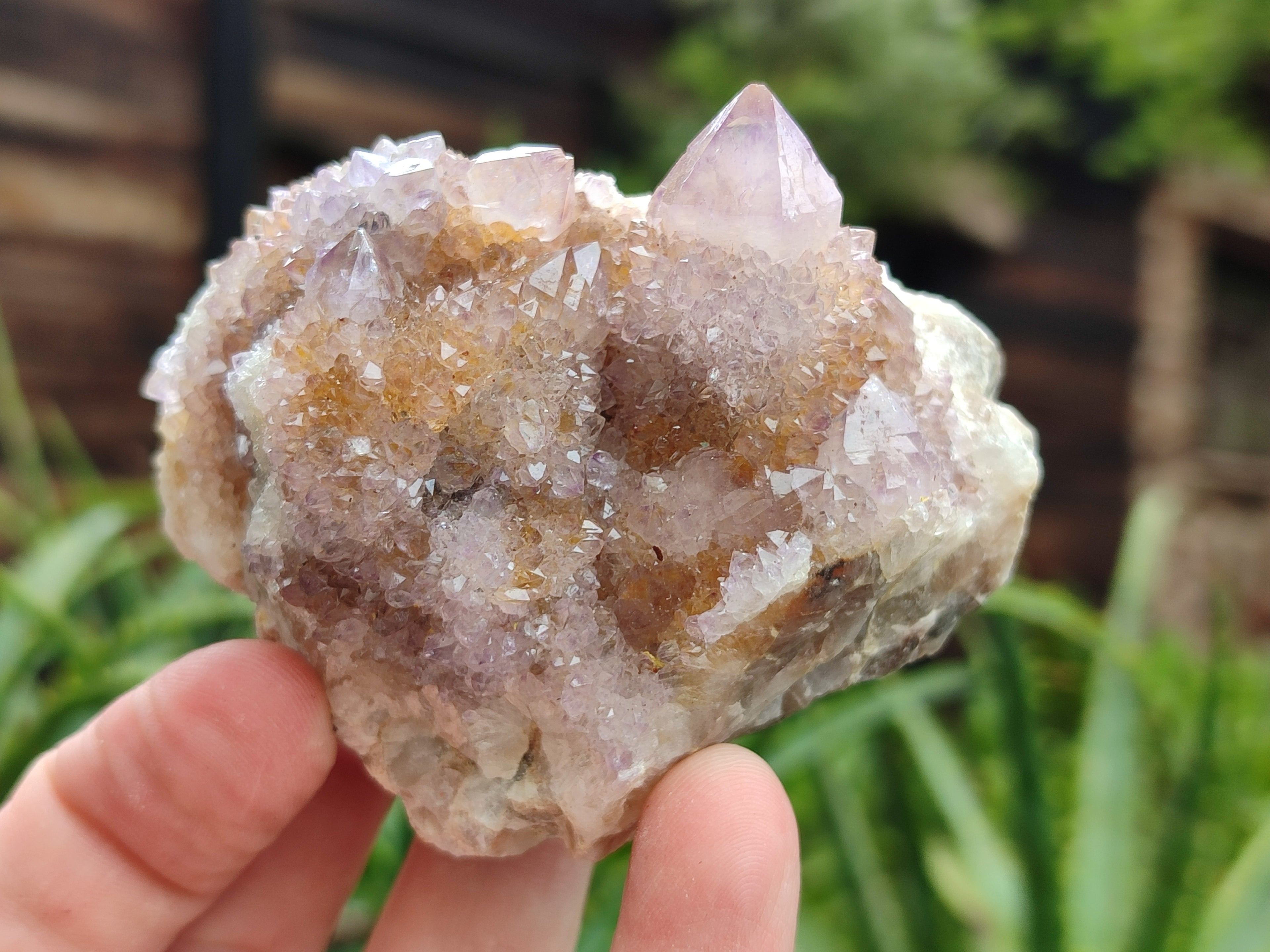 Natural Amethyst Spirit Quartz Clusters x 6 From Boekenhouthoek, South Africa - Toprock Gemstones and Minerals 
