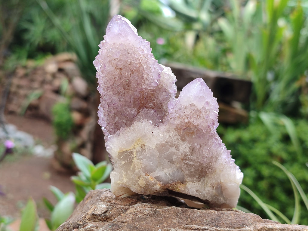 Natural Amethyst Spirit Quartz Clusters x 6 From Boekenhouthoek, South Africa - Toprock Gemstones and Minerals 