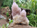 Natural Amethyst Spirit Quartz Clusters x 6 From Boekenhouthoek, South Africa - Toprock Gemstones and Minerals 