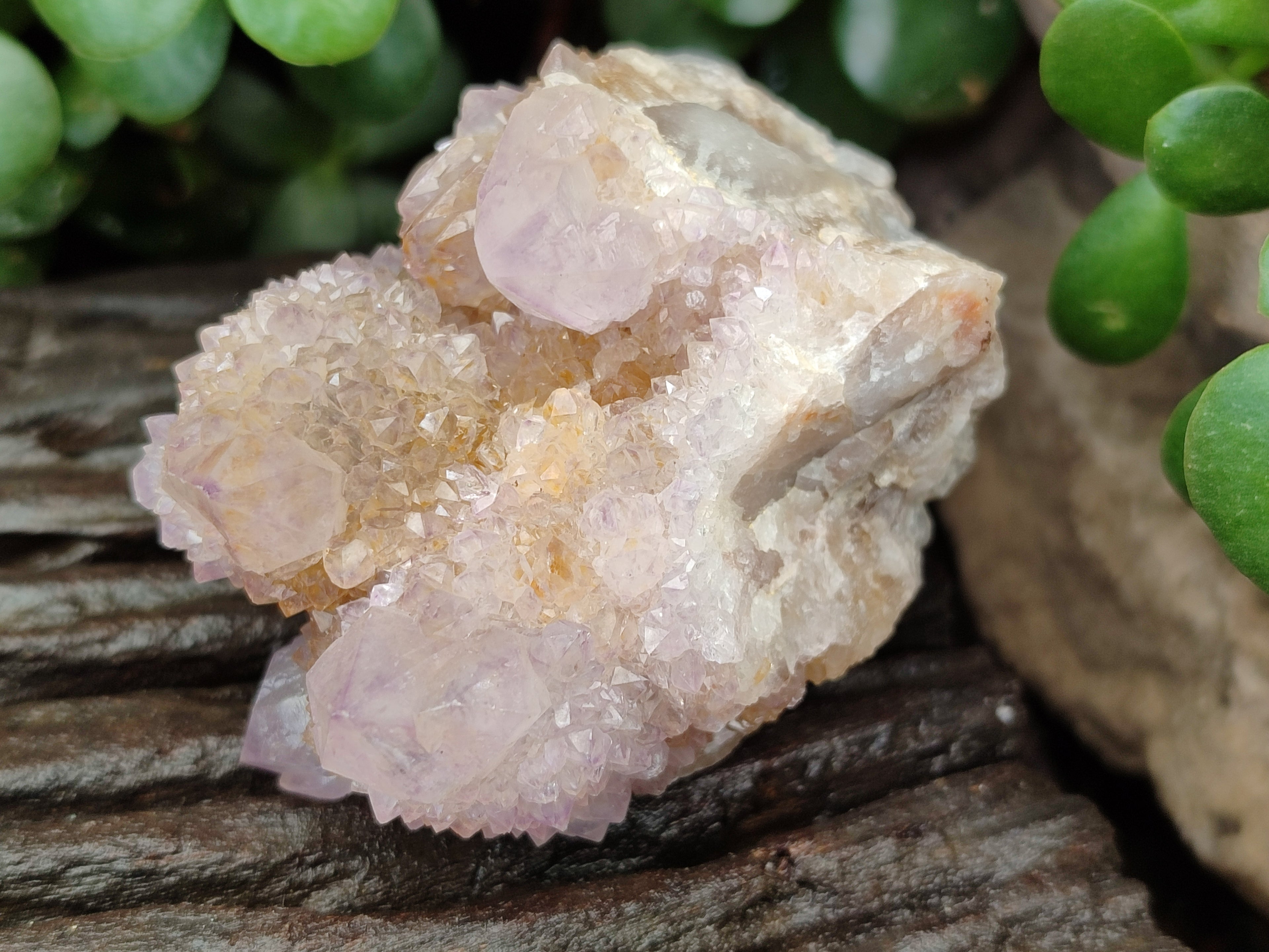 Natural Amethyst Spirit Quartz Clusters x 6 From Boekenhouthoek, South Africa - Toprock Gemstones and Minerals 