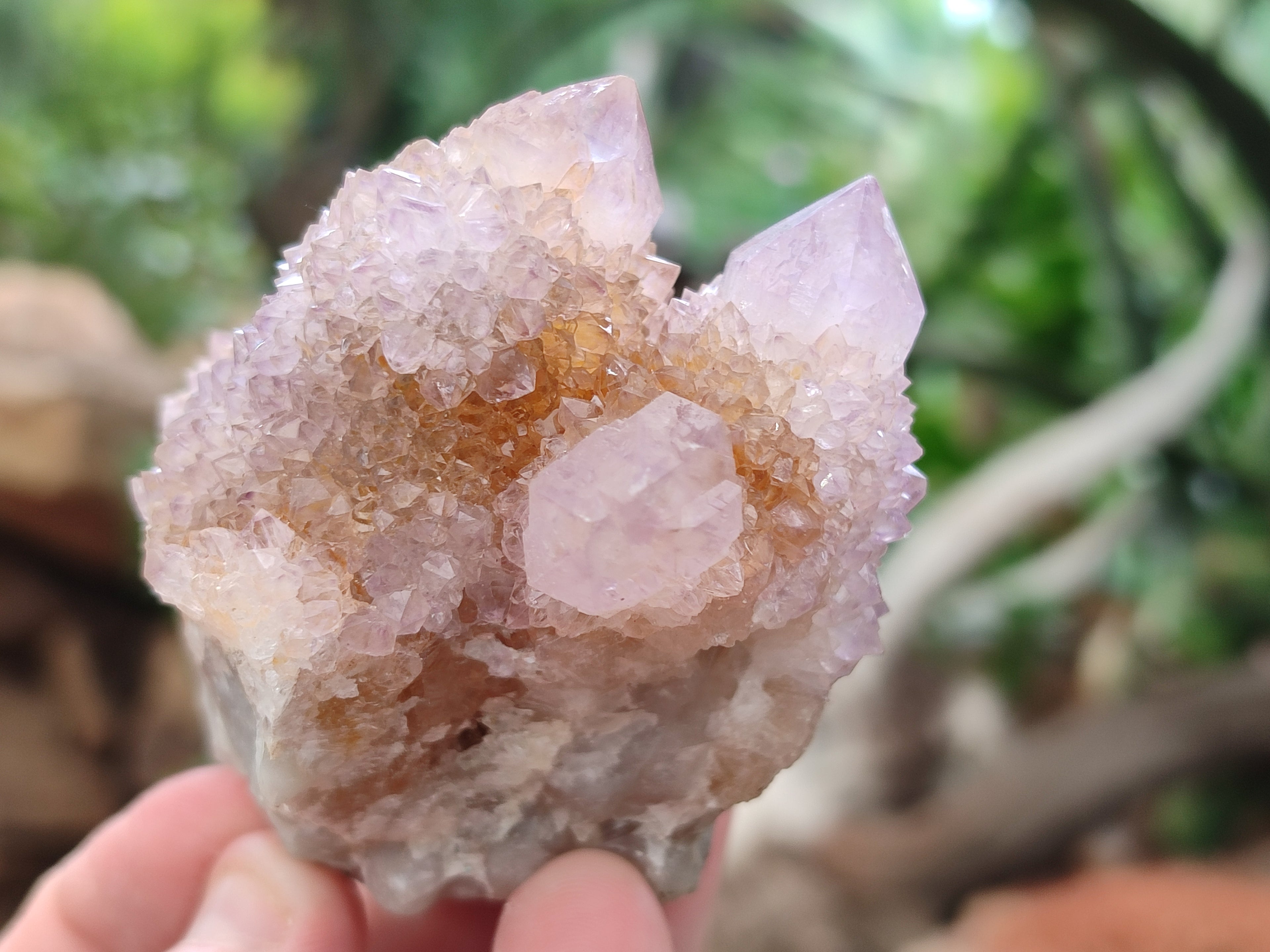 Natural Amethyst Spirit Quartz Clusters x 6 From Boekenhouthoek, South Africa - Toprock Gemstones and Minerals 