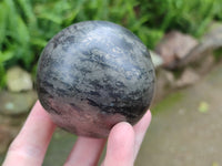 Polished Pharaoh Stone Spheres x 2 From Zimbabwe - Toprock Gemstones and Minerals 