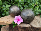 Polished Pharaoh Stone Spheres x 2 From Zimbabwe - Toprock Gemstones and Minerals 