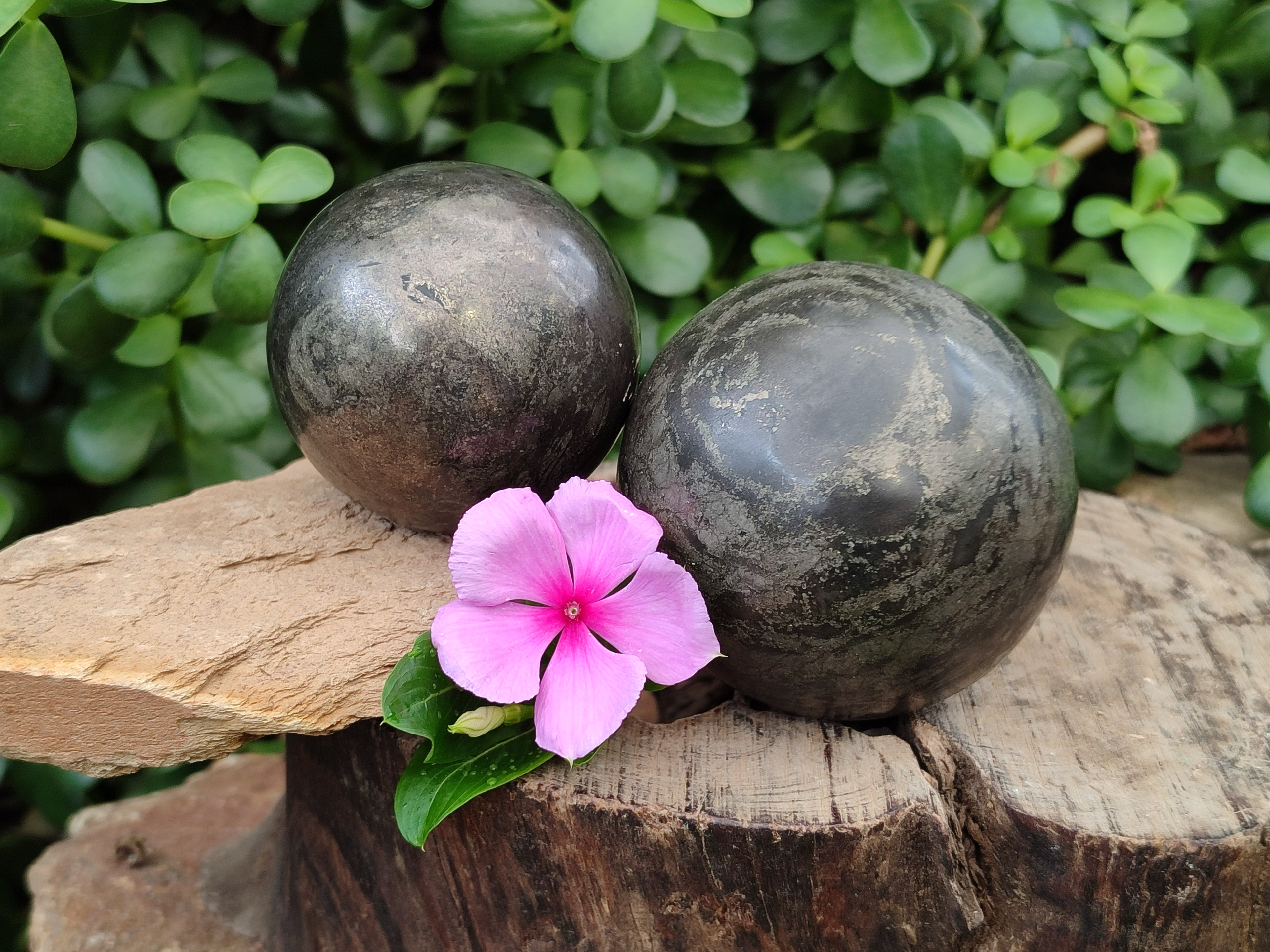 Polished Pharaoh Stone Spheres x 2 From Zimbabwe - Toprock Gemstones and Minerals 