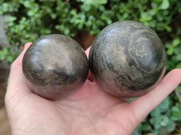 Polished Pharaoh Stone Spheres x 2 From Zimbabwe - Toprock Gemstones and Minerals 