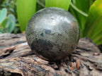 Polished Pharaoh Stone Spheres x 2 From Zimbabwe - Toprock Gemstones and Minerals 