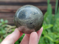 Polished Pharaoh Stone Spheres x 2 From Zimbabwe - Toprock Gemstones and Minerals 