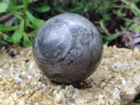 Polished Pharaoh Stone Spheres x 2 From Zimbabwe - Toprock Gemstones and Minerals 