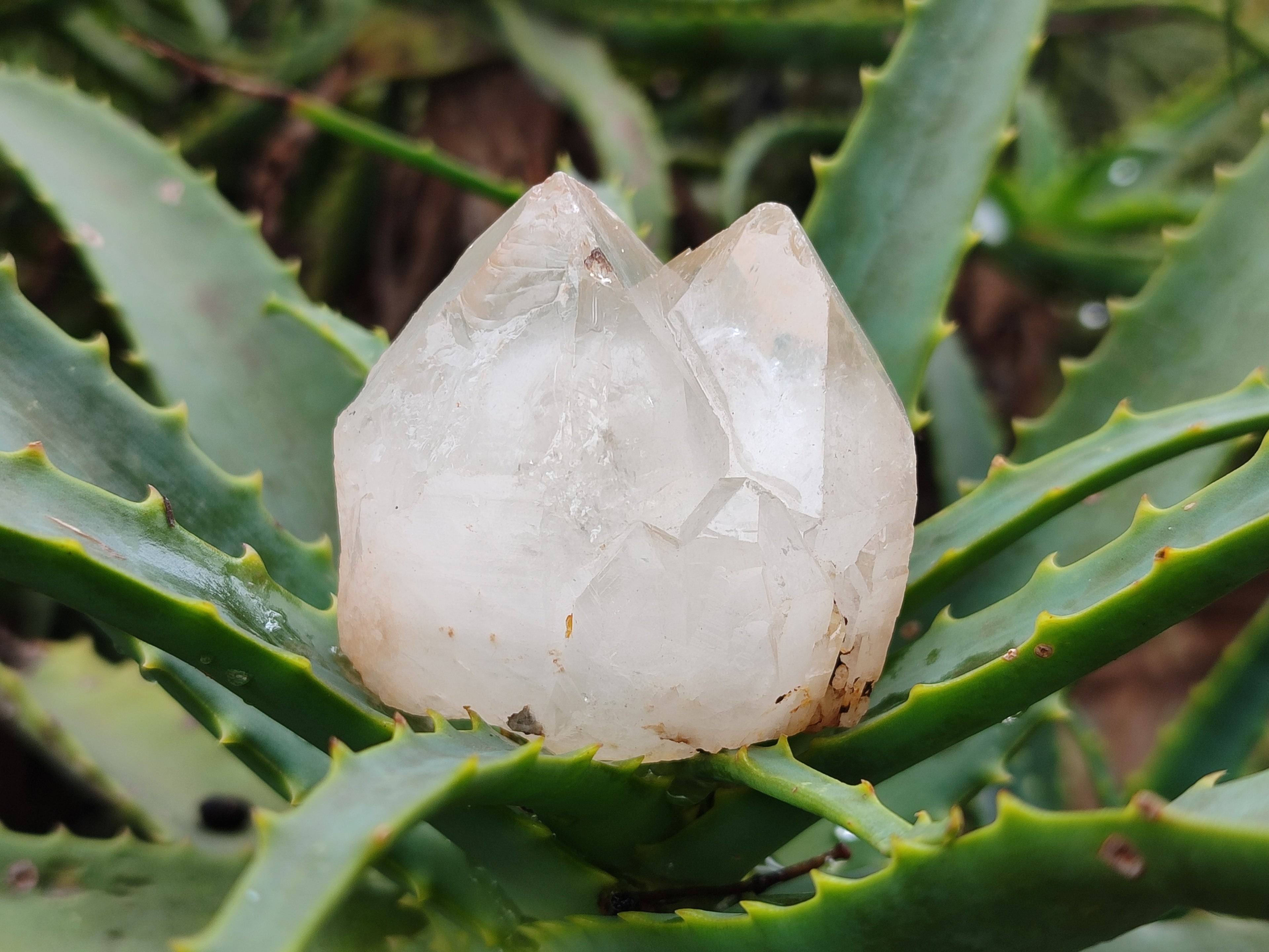 Natural Quartz Crystals x 15 From Madagascar - Toprock Gemstones and Minerals 