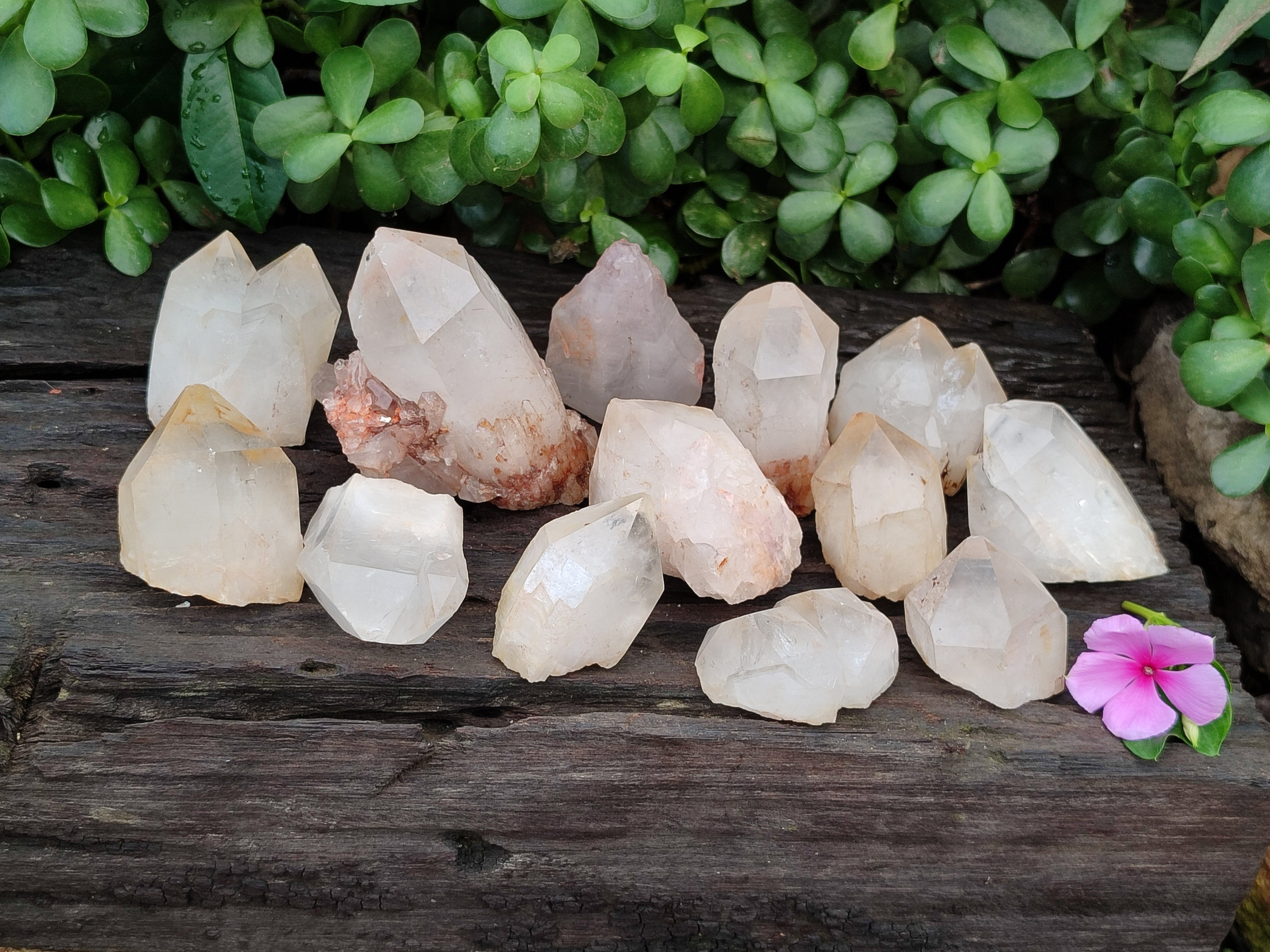 Natural Quartz Crystals x 15 From Madagascar - Toprock Gemstones and Minerals 