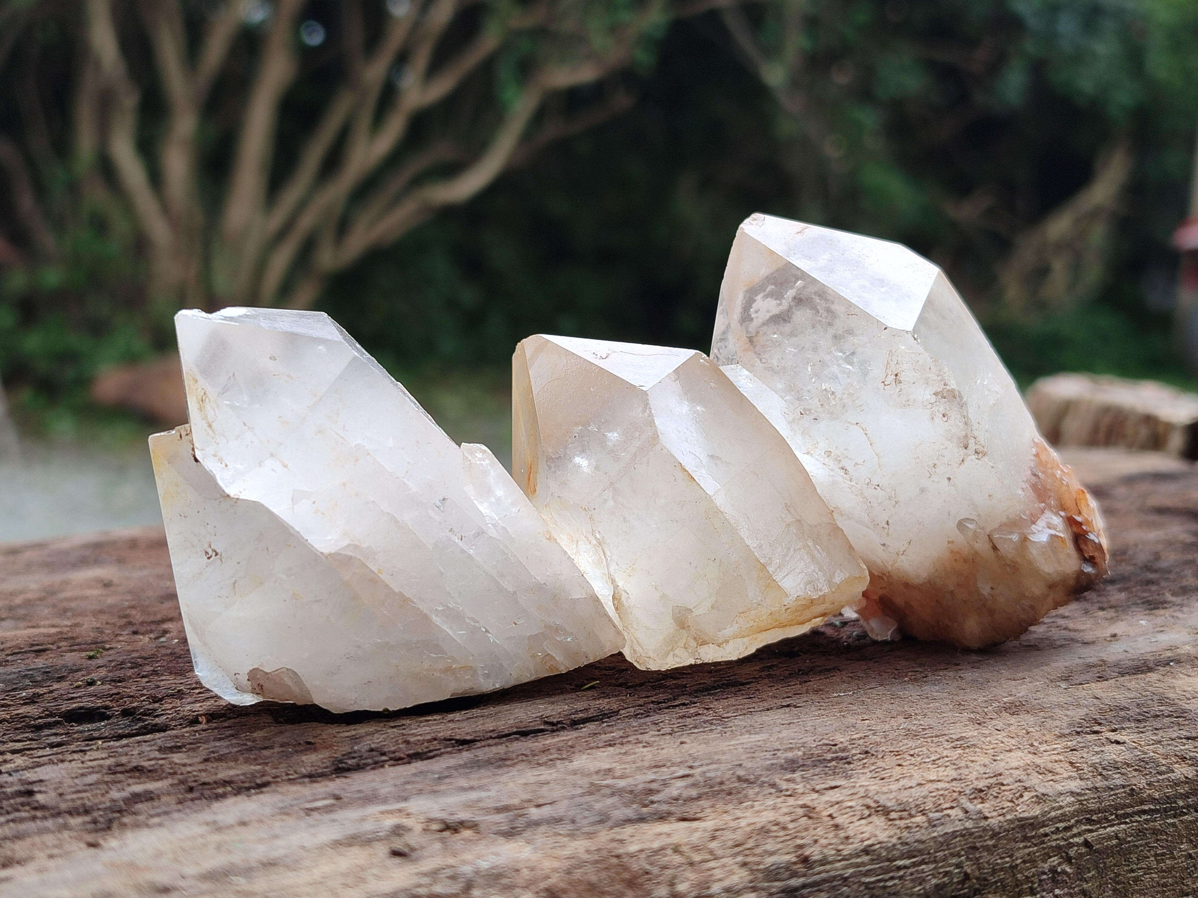 Natural Quartz Crystals x 15 From Madagascar - Toprock Gemstones and Minerals 