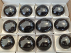 Polished Black Basalt Palm Stones x 12 From Antsirabe, Madagascar - Toprock Gemstones and Minerals 