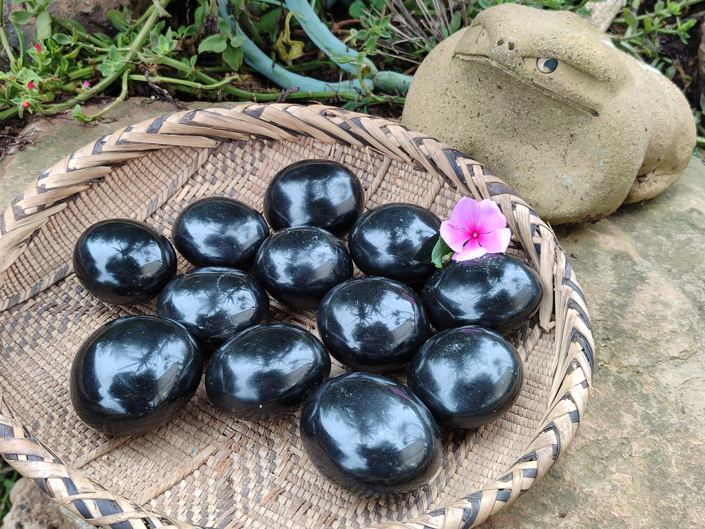 Polished Black Basalt Palm Stones x 12 From Antsirabe, Madagascar - Toprock Gemstones and Minerals 