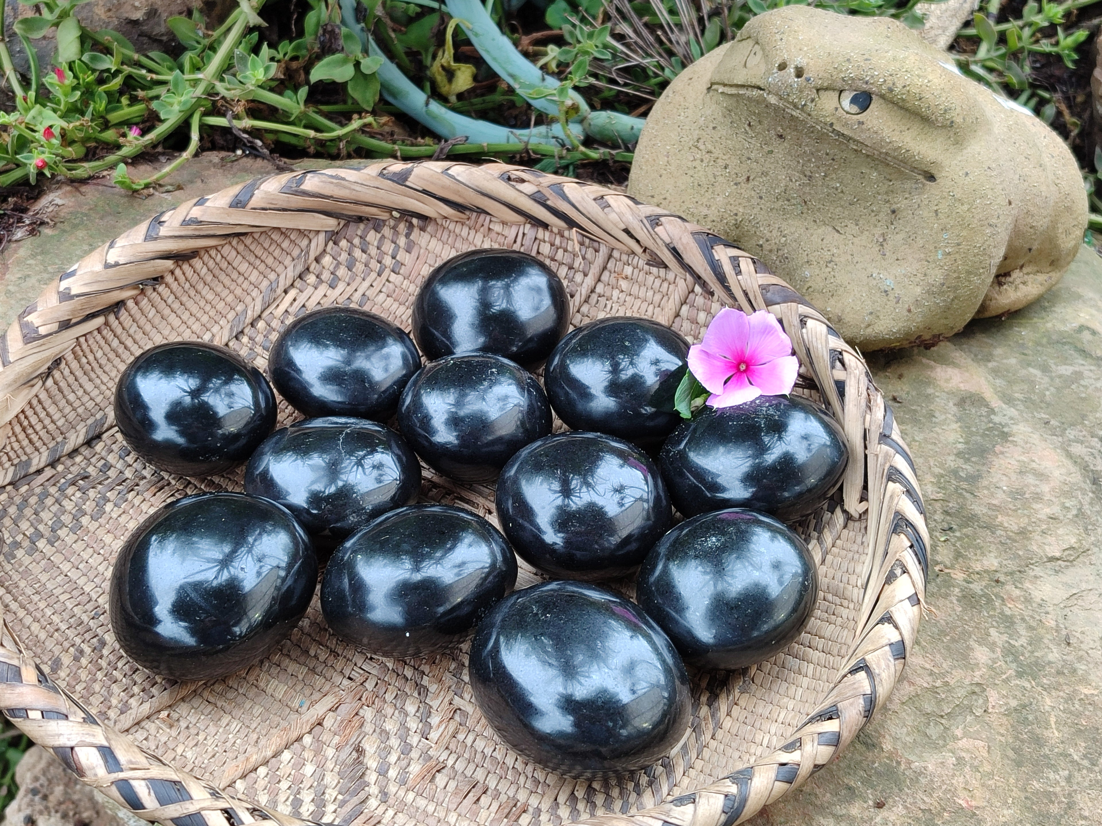 Polished Black Basalt Palm Stones x 12 From Antsirabe, Madagascar - Toprock Gemstones and Minerals 