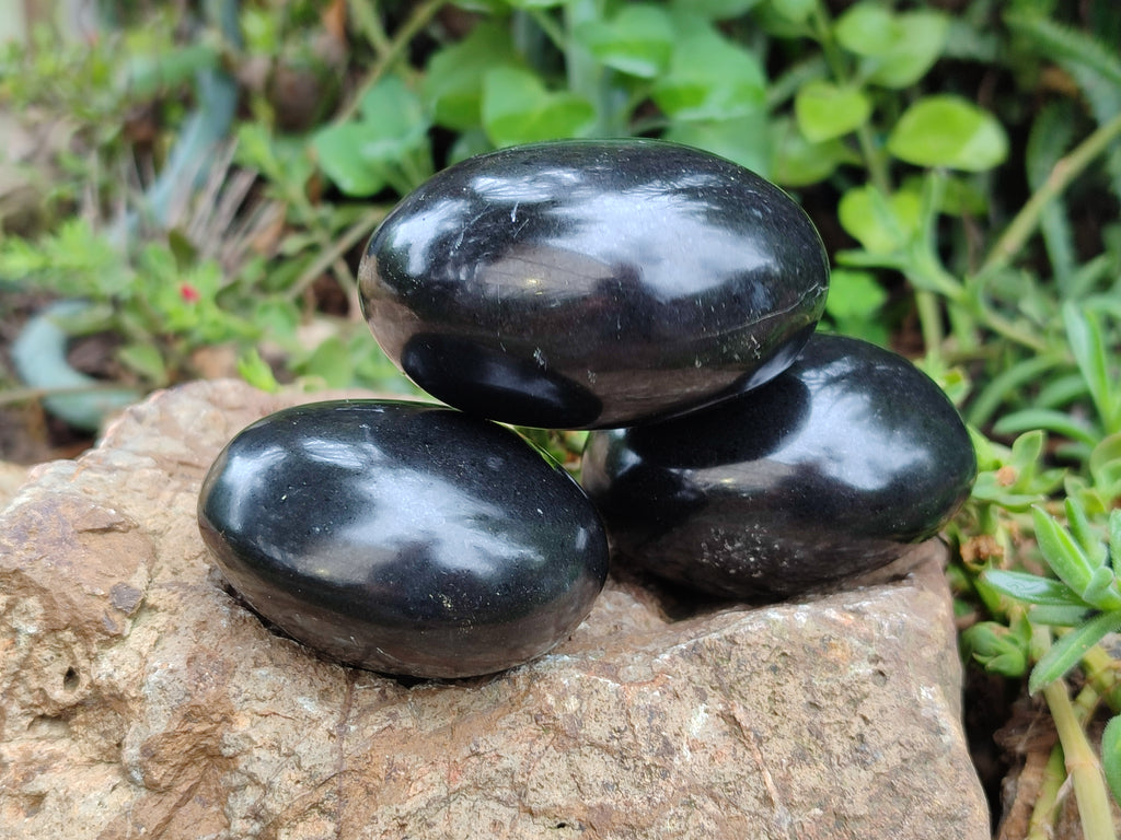 Polished Black Basalt Palm Stones x 12 From Antsirabe, Madagascar - Toprock Gemstones and Minerals 