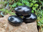 Polished Black Basalt Palm Stones x 12 From Antsirabe, Madagascar - Toprock Gemstones and Minerals 