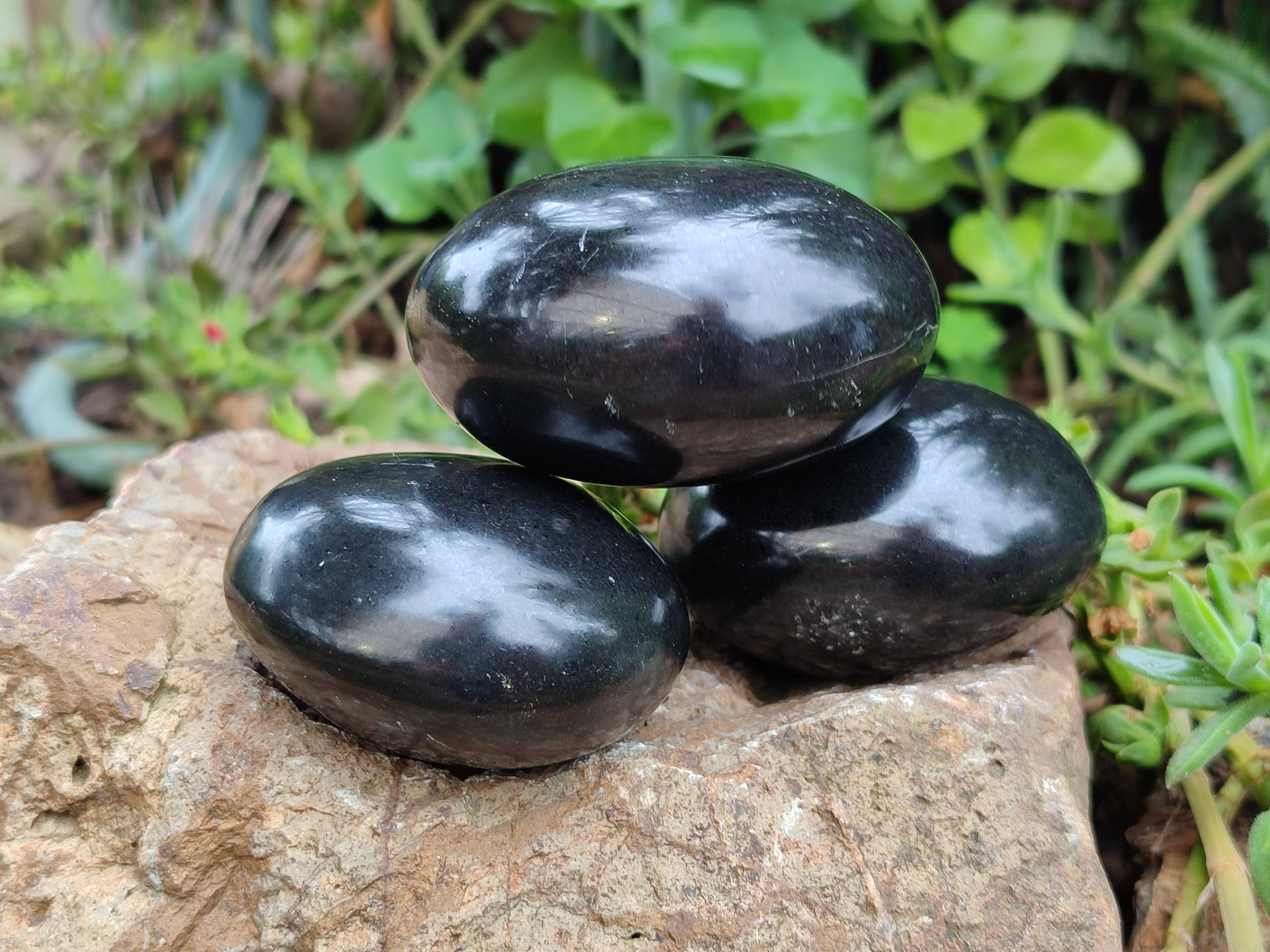 Polished Black Basalt Palm Stones x 12 From Antsirabe, Madagascar - Toprock Gemstones and Minerals 