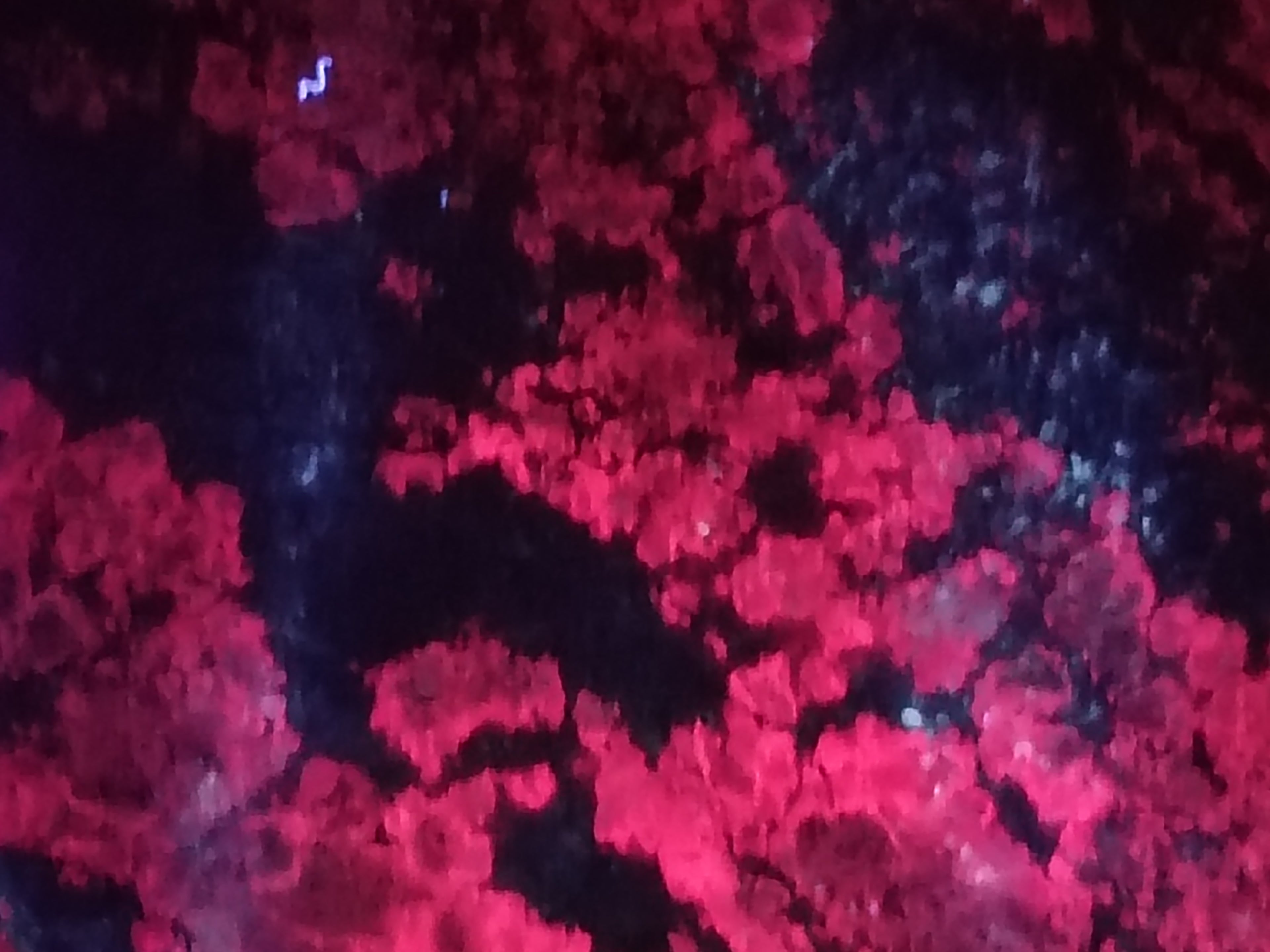 Polished Ruby Corundum In Chrome Verdite Standing Free Forms x 4 From Zimbabwe - Toprock Gemstones and Minerals 
